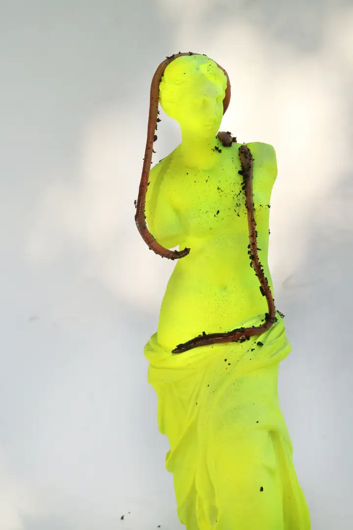 Niagara Worms, for a Better Life photograph
